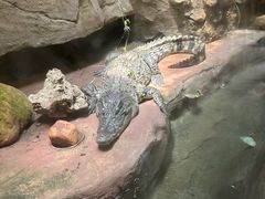 -长鹿旅游休博园