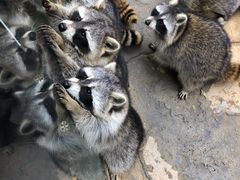 -杭州野生动物世界