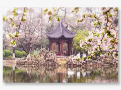 -莫愁湖公园