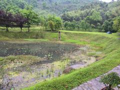 -杏花村文化旅游区