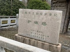 -上海佘山国家森林公园天马山园