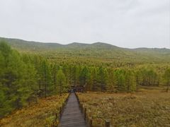 -莫尔道嘎国家森林公园