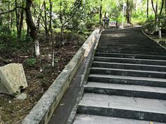 -分塔山省级森林公园