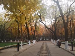 -山东大学(趵突泉校区)
