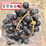 秋日瓜果飘香，爱吃水果的宝宝们有福啦[调皮]