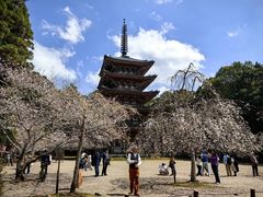 -醍醐寺