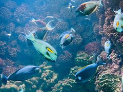 -海合安青岛极地海洋公园