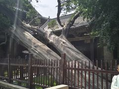 -晋祠公园