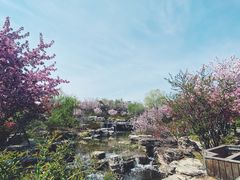 -石家庄市植物园