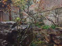 -叶叶菩提·晋福宫