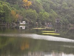 -重庆彩云湖湿地公园