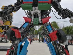 -上海长兴岛郊野公园