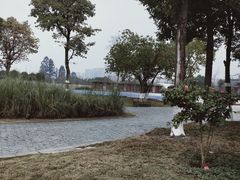 -眉山湿地公园(东坡区)