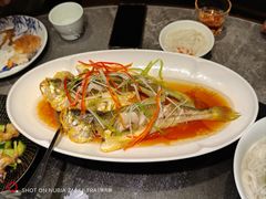 -前海沿·青岛菜(大拇指广场石老人店)