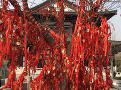 -华清宫景区