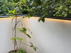 -青桃餐厅