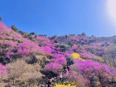 -青岛大珠山景区
