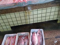-朝陽市場