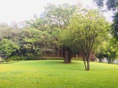 -广州市白云山风景名胜区