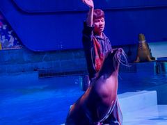 -南昌融创海世界