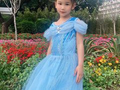 -晓港公园