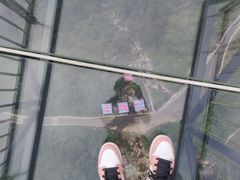 -梦幻奥陶纪景区