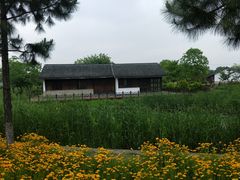 -尚贤河湿地