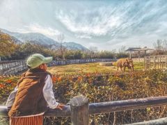-西安秦岭野生动物园