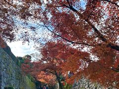 -三千院