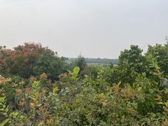 -荷花大观园