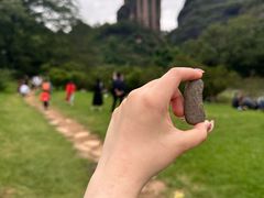 -武夷山风景名胜区-玉女峰