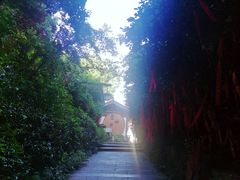 -天目湖山水园
