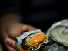 鲜活海胆-Osteria Garden 生蚝花园餐厅(原进贤路店)