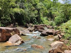 -广州白江湖森林公园