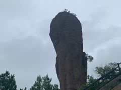 -磬锤峰森林公园