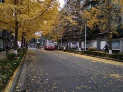 -四川大学(望江校区)