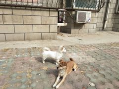 -金逸影城(中关村店)