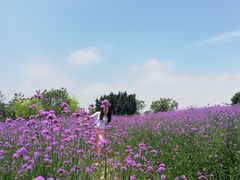 -厦门园林博览苑