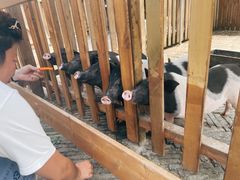 -太阳岛度假酒店