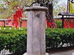 -药王庙(安国市)