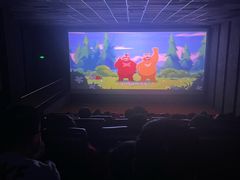 -华美国际影城(旧宫永辉店)