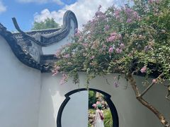 -上海醉白池公园