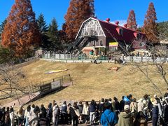 -神户市立六甲山牧场