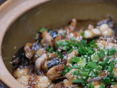 -红星光发煲仔饭(文海店)