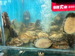 -船梆煮•蒸汽海鲜·生腌干蒸(五四广场店)