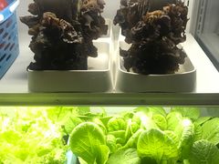 -番食园鲜食火锅(高新店)