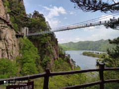 -何记羊汤馆(丽水佳源店)