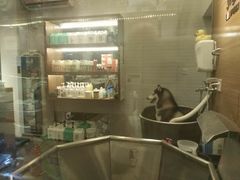 -PETKIT小佩宠物(古北店)