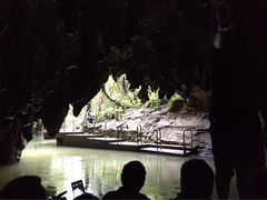 -怀托摩萤火虫洞