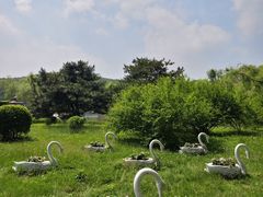 -哈尔滨北方森林动物园